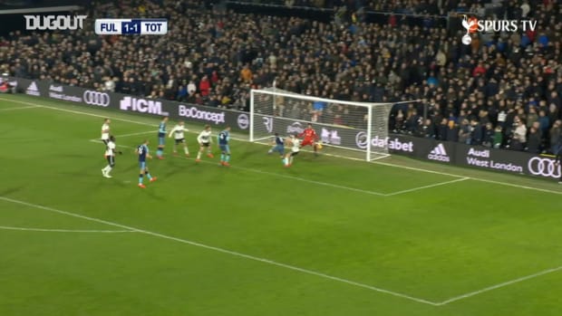 Harry Winks' last-minute winner against Fulham